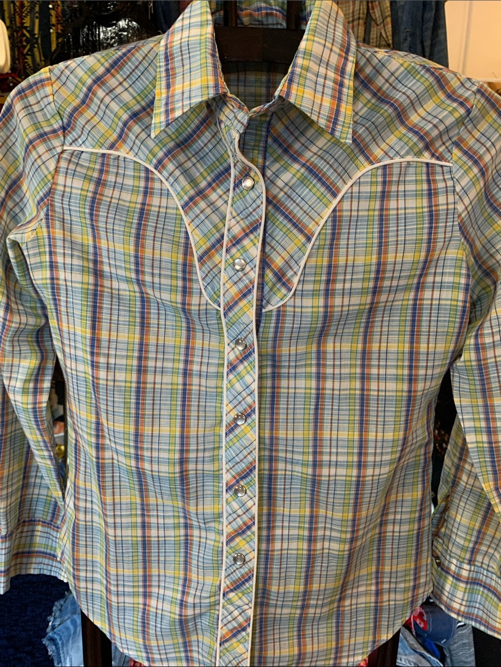 Plaid Western-Style Button-Up Shirt in Multicolor